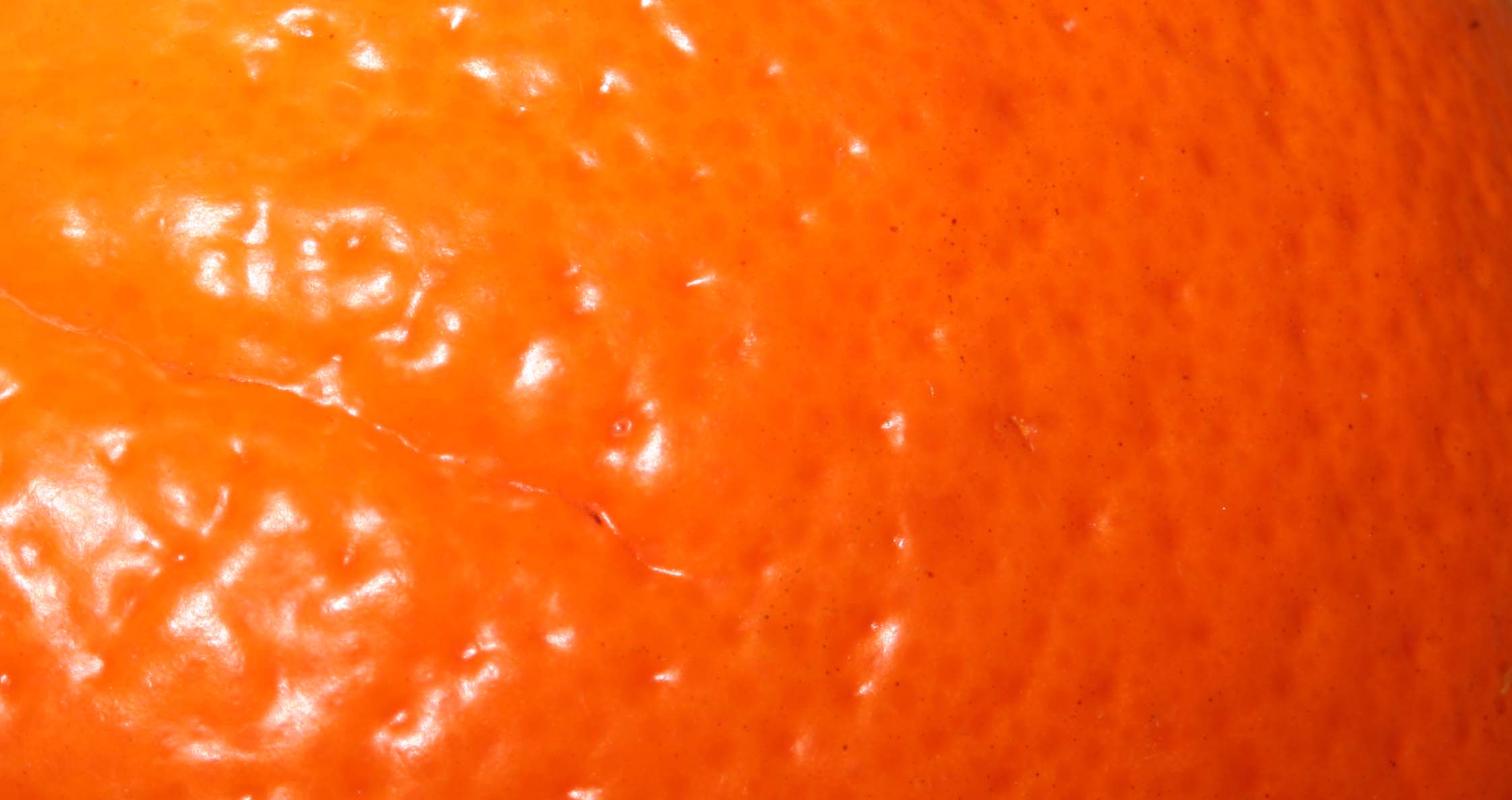 Citrus Degreaser